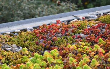 the cost of Cobby Syke green roof installation