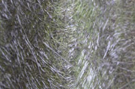 Cobby Syke fibreglass roof work